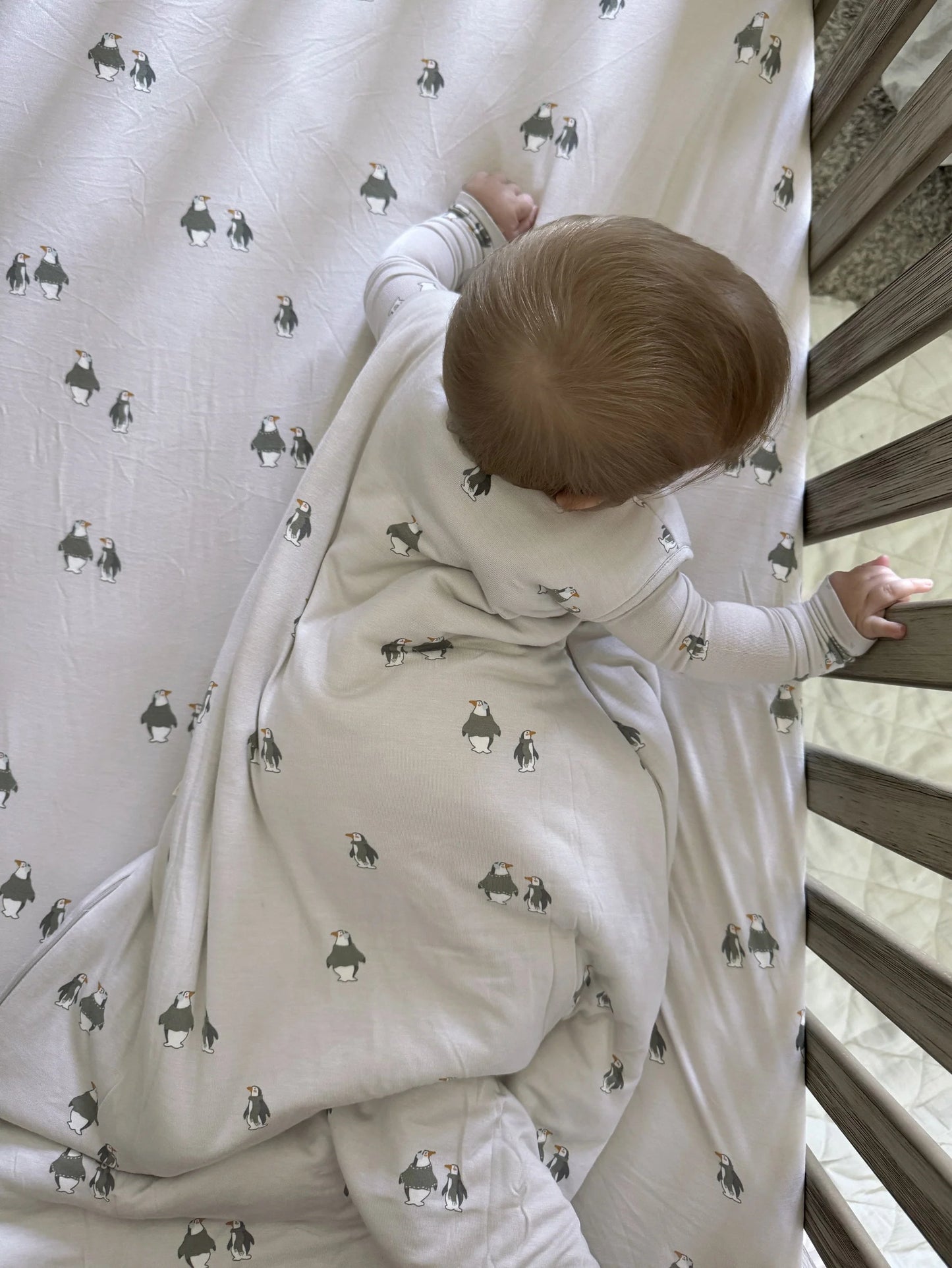 2.6TOG Bamboo Sleep Sack- Penguins