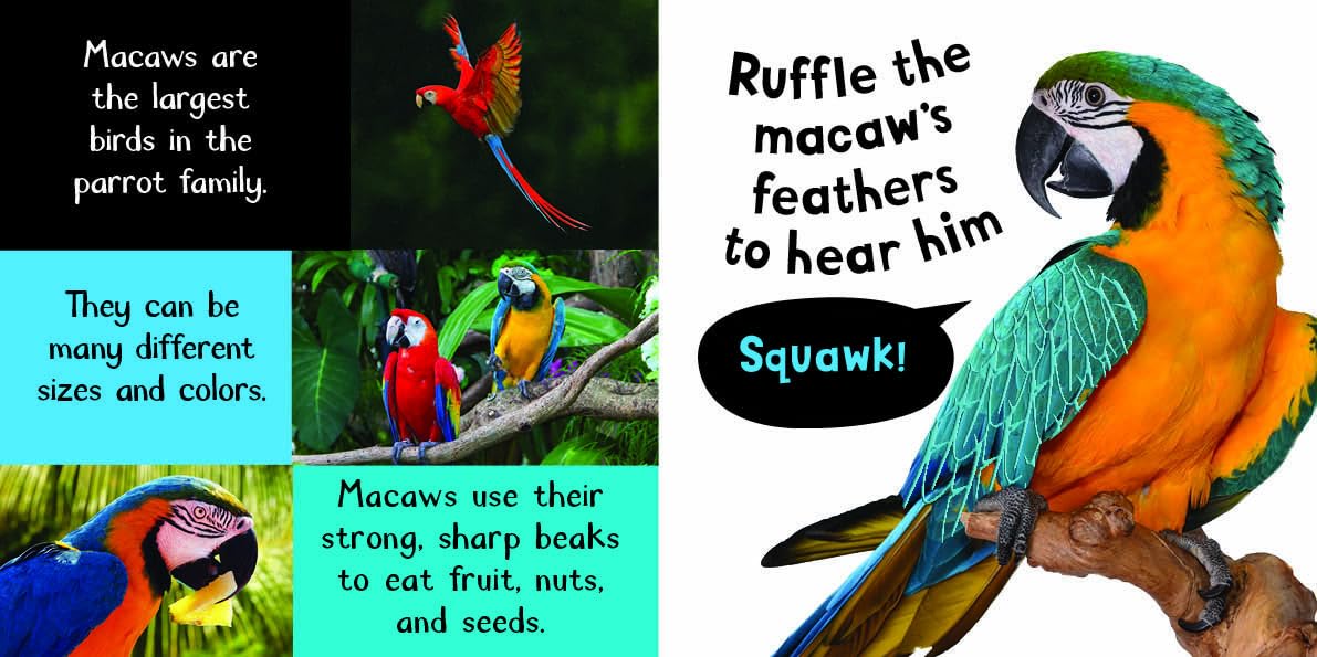 Noisy Animals Touch and Feel Sound Book