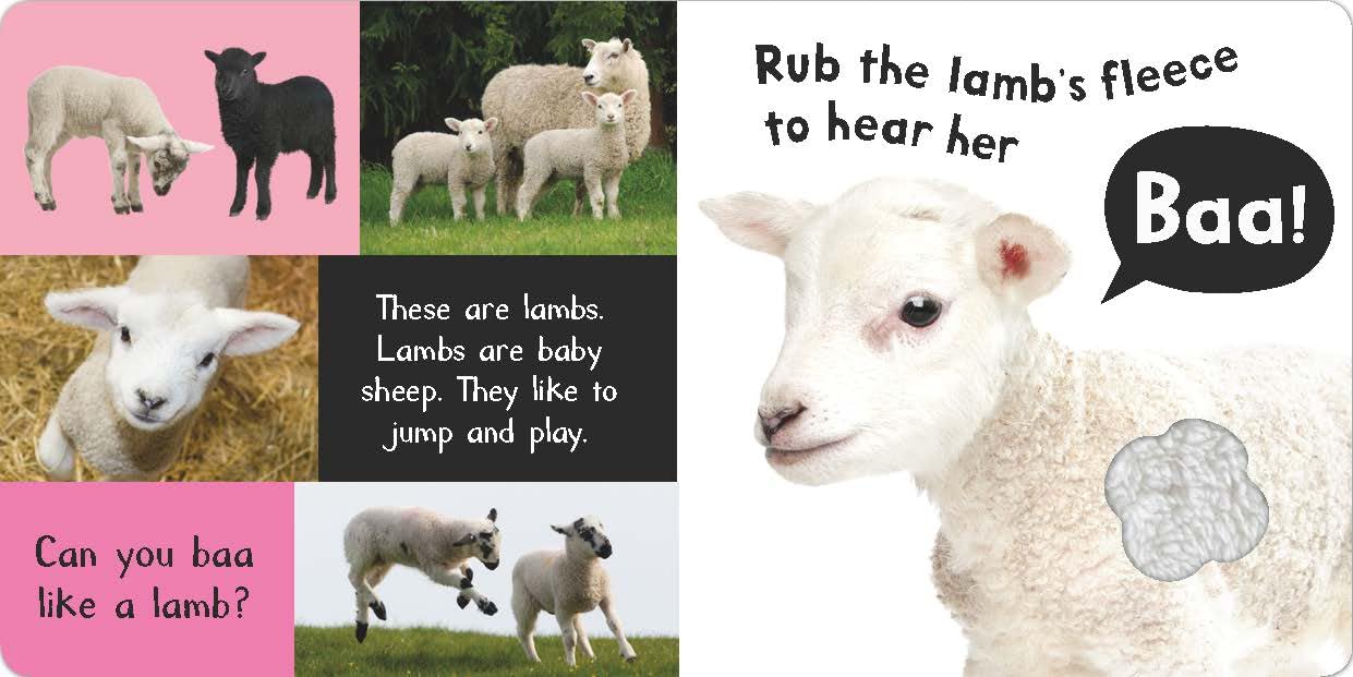 Noisy Farm Touch and Feel Sound Book