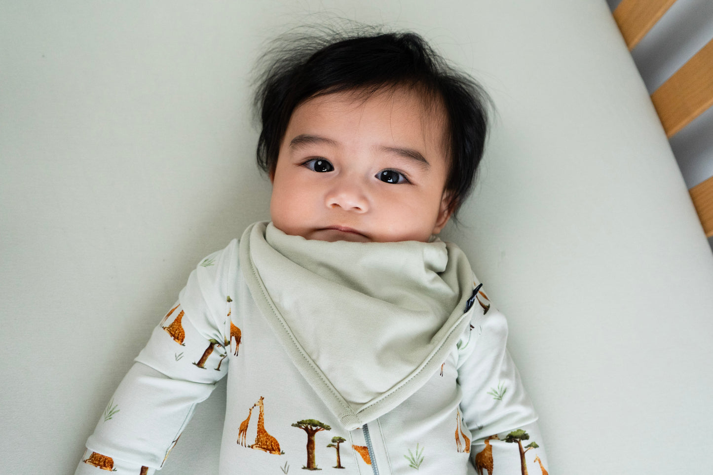 Bamboo Bandana Bib- Sage