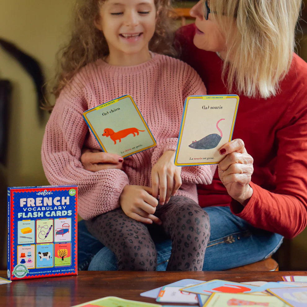 French Vocabulary Flash Cards