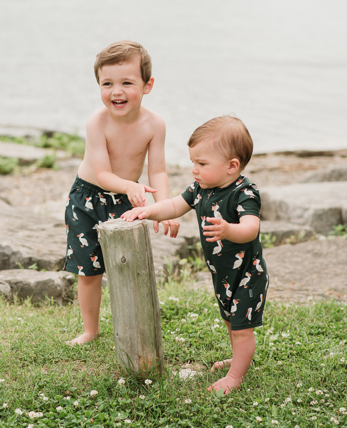 Pelicans 1pc. Baby Swim Romper