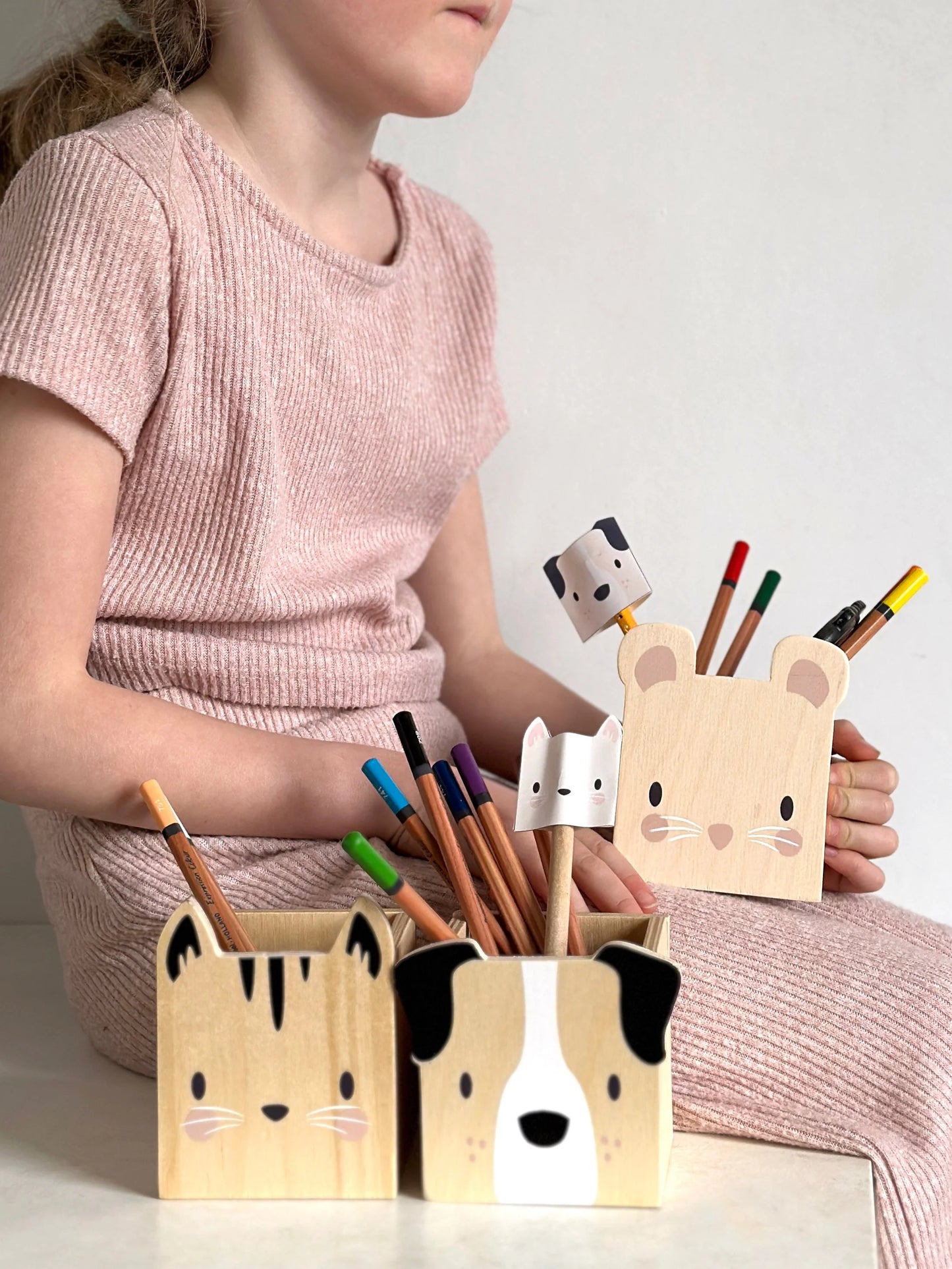 Wooden Pet Pencil Holders