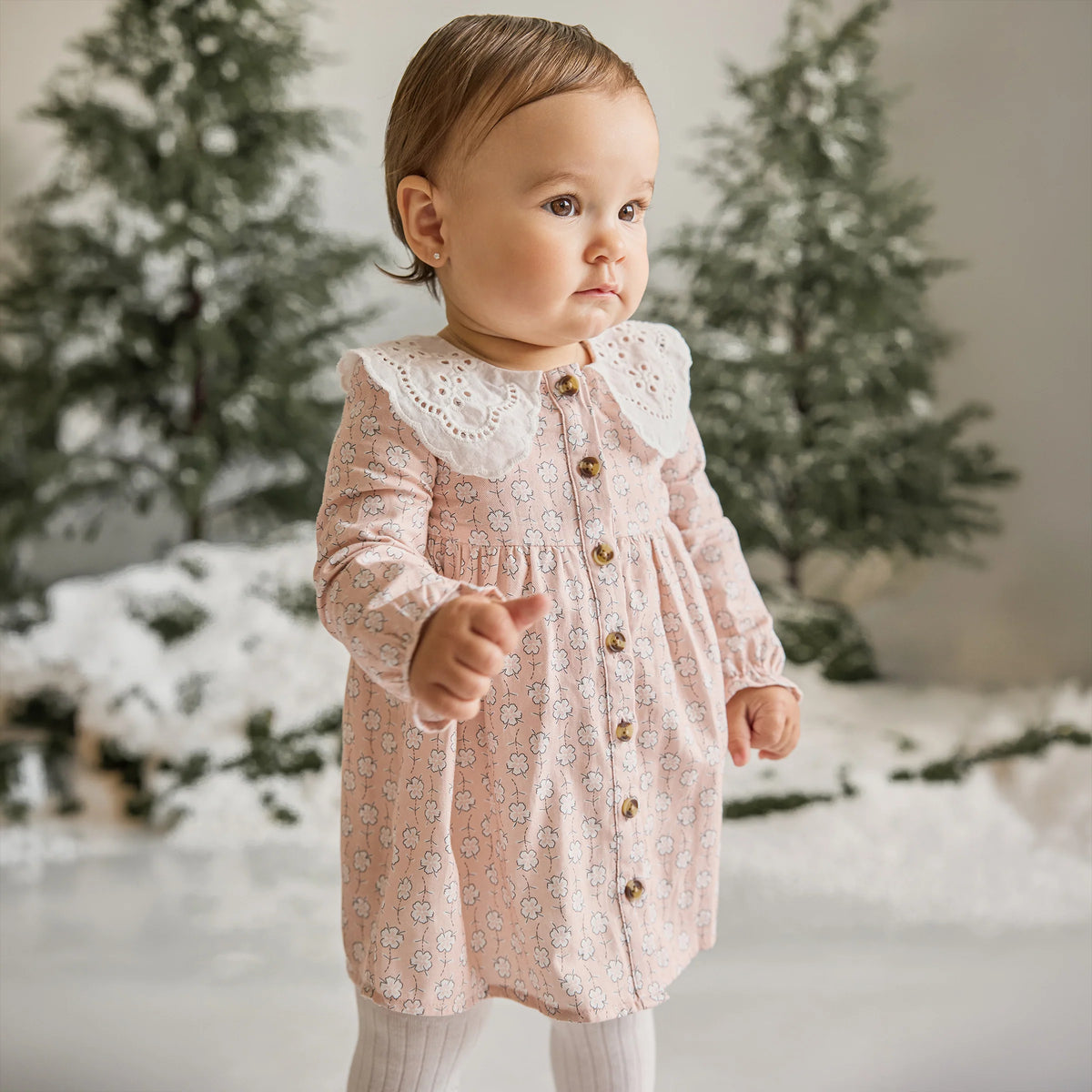 Winter Blooms Brushed Twill Dress Set