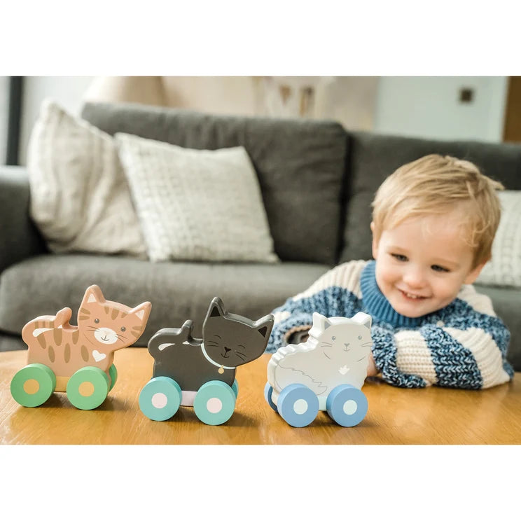 Kitty First Push Toys