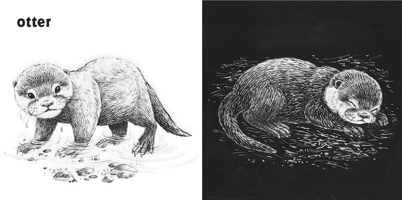 Baby Animals Day & Night Board Book