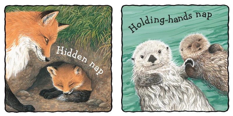 Baby Animals Take a Nap Board Book