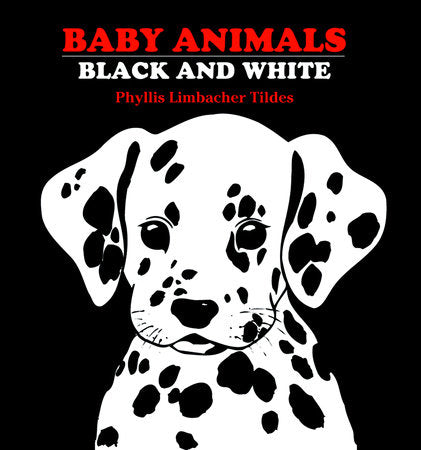 Baby Animals Black & White Board Book