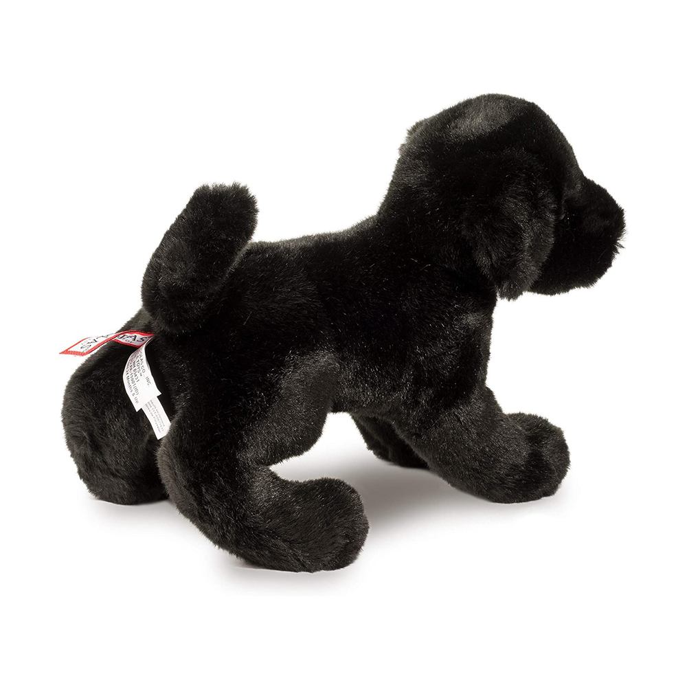 Brewster Black Lab