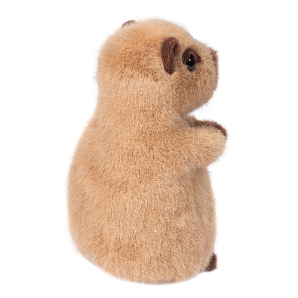 Chattie Mini Soft Capybara
