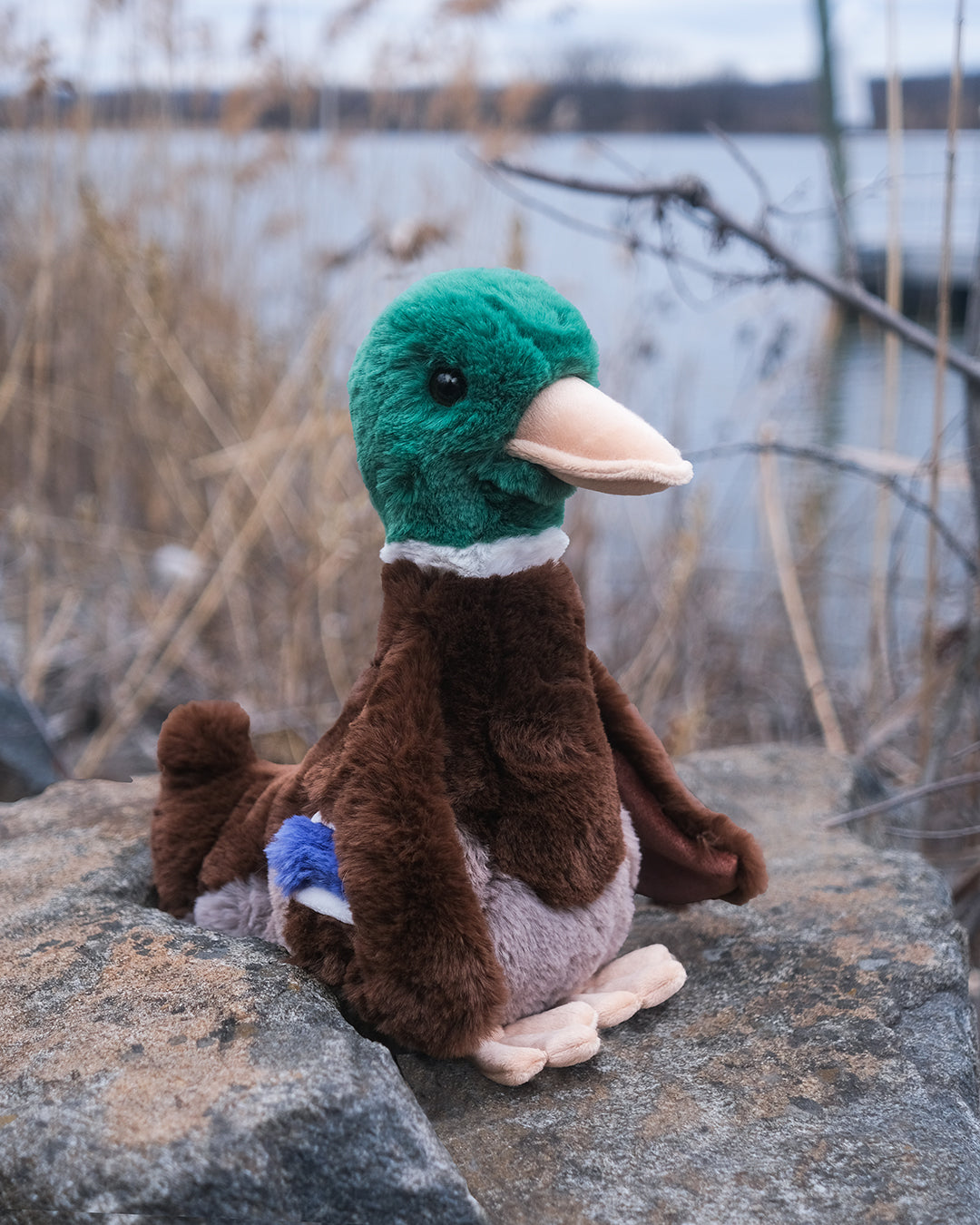 Desie Soft Mallard Duck