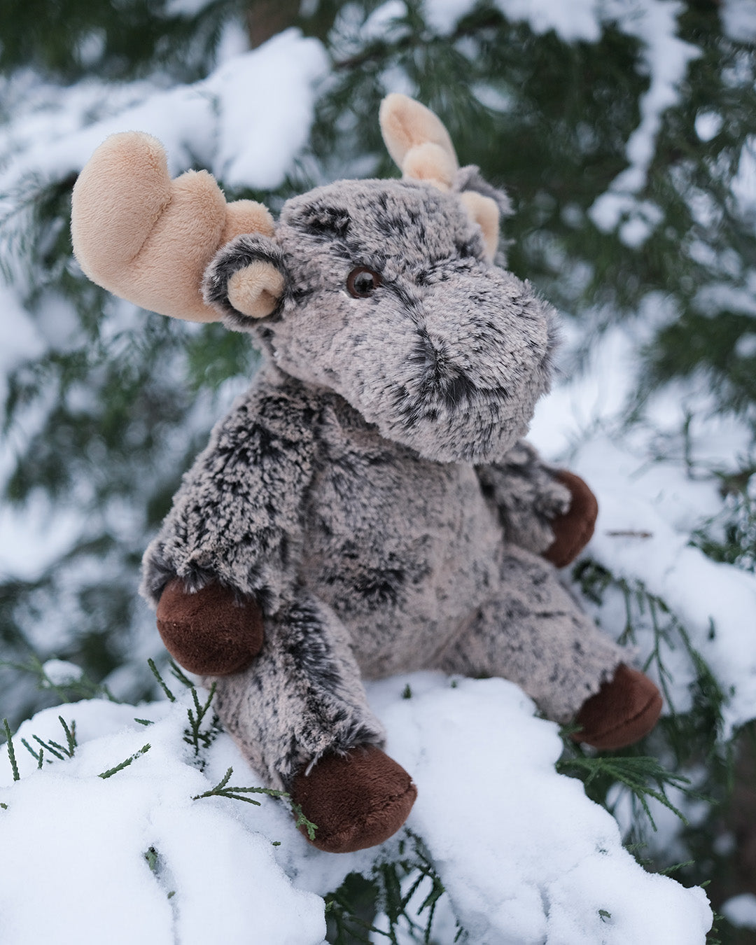 Marshall Moose Pudgie