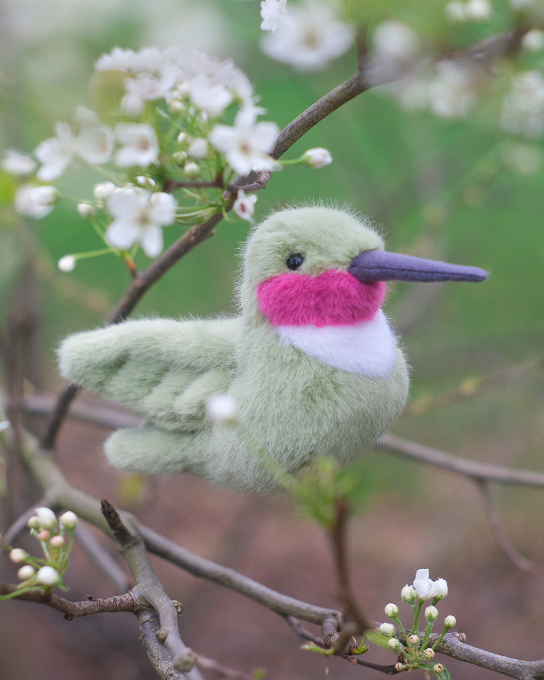 Nectar Hummingbird