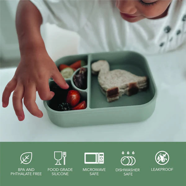 Divided Silicone Lunch Box- Wave