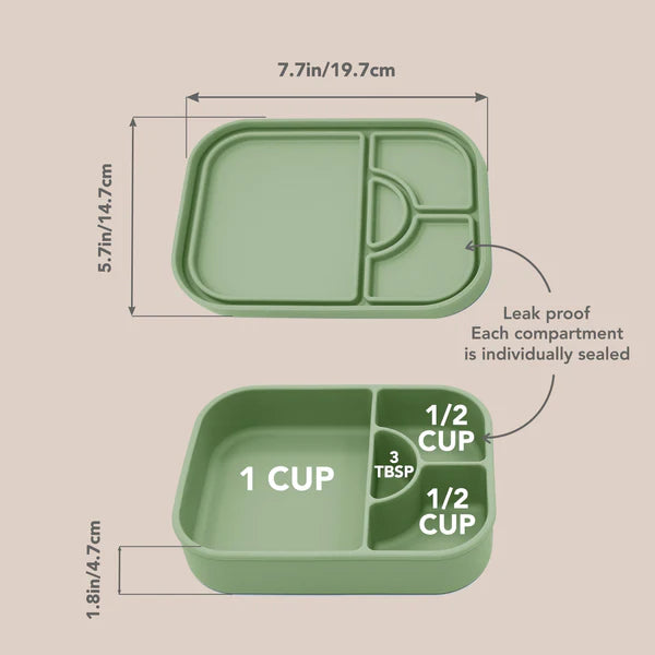 Divided Silicone Lunch Box- Wave