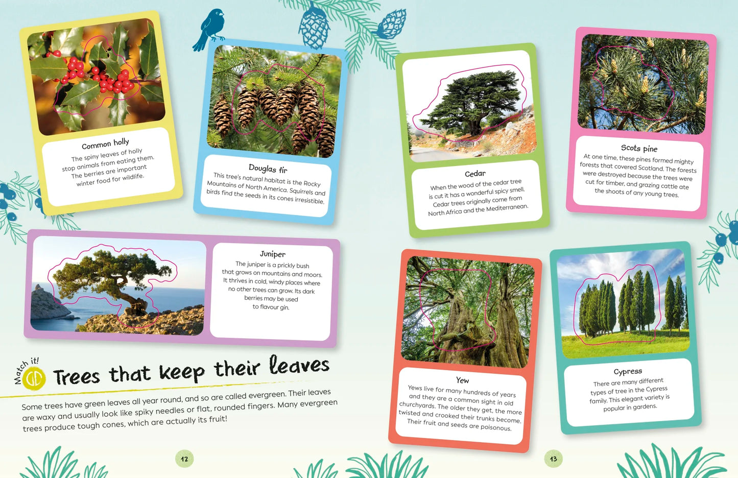Trees and Leaves Ultimate Sticker Book