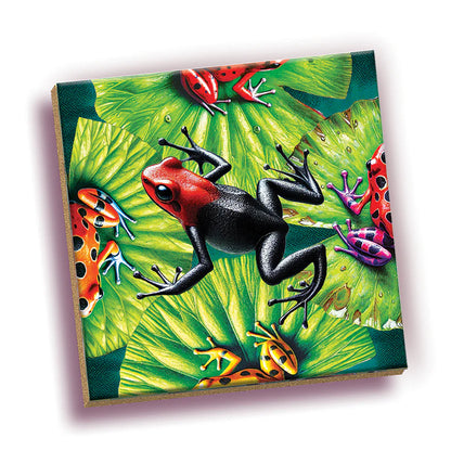 25pc. Frogs Magic Square Puzzle