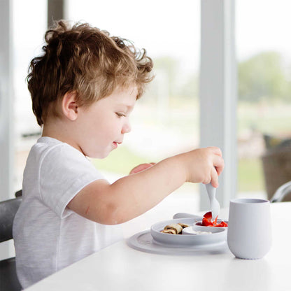 Mini Feeding Set- Pewter