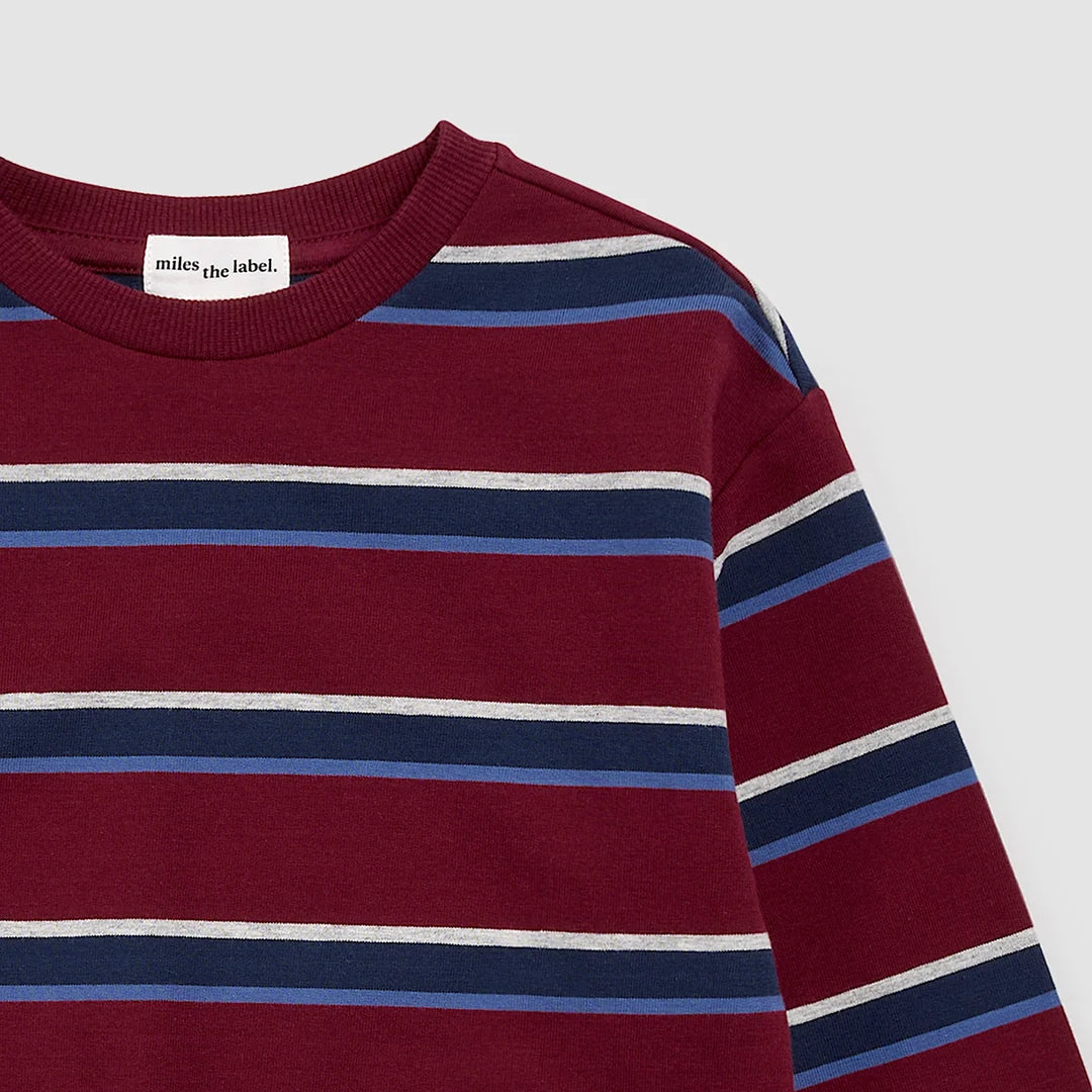 Burgundy & Blue Cotton Fleece Sweatshirt