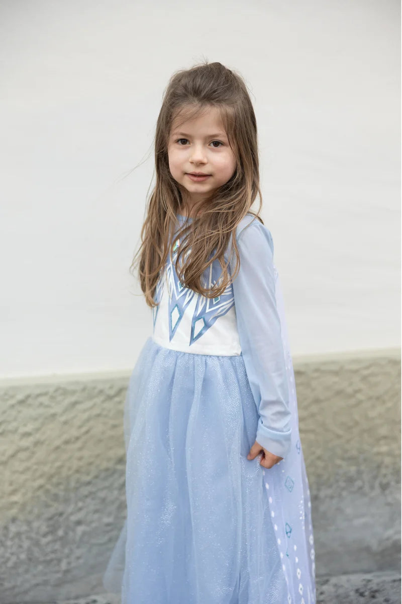 Once Upon a Winter Princess Dress