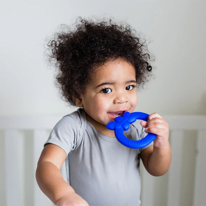 Blueberry Silicone Teether