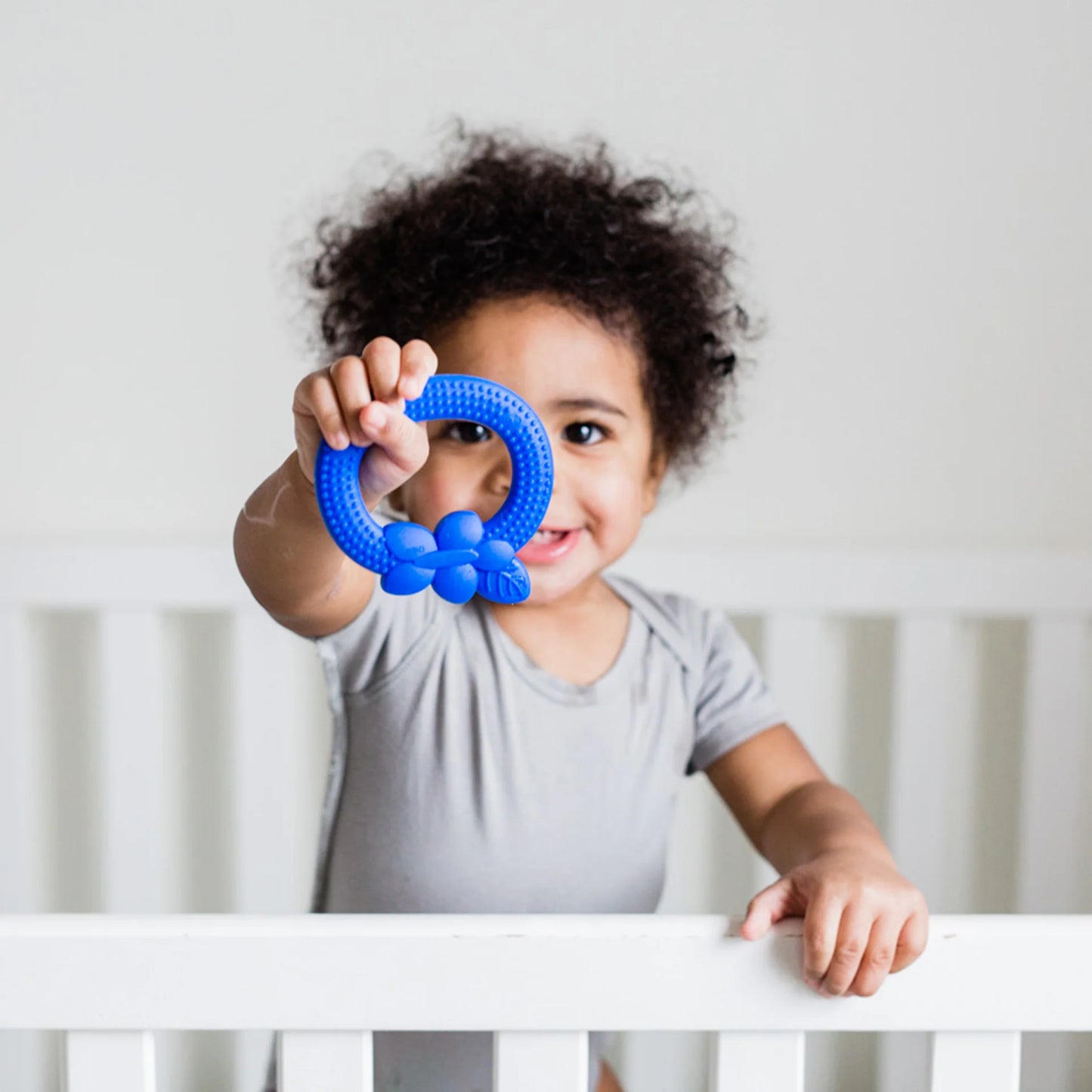 Blueberry Silicone Teether