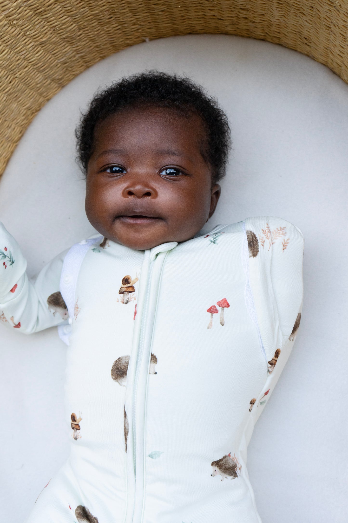 1.0 TOG Convertible Swaddle Sack- Hedgehogs