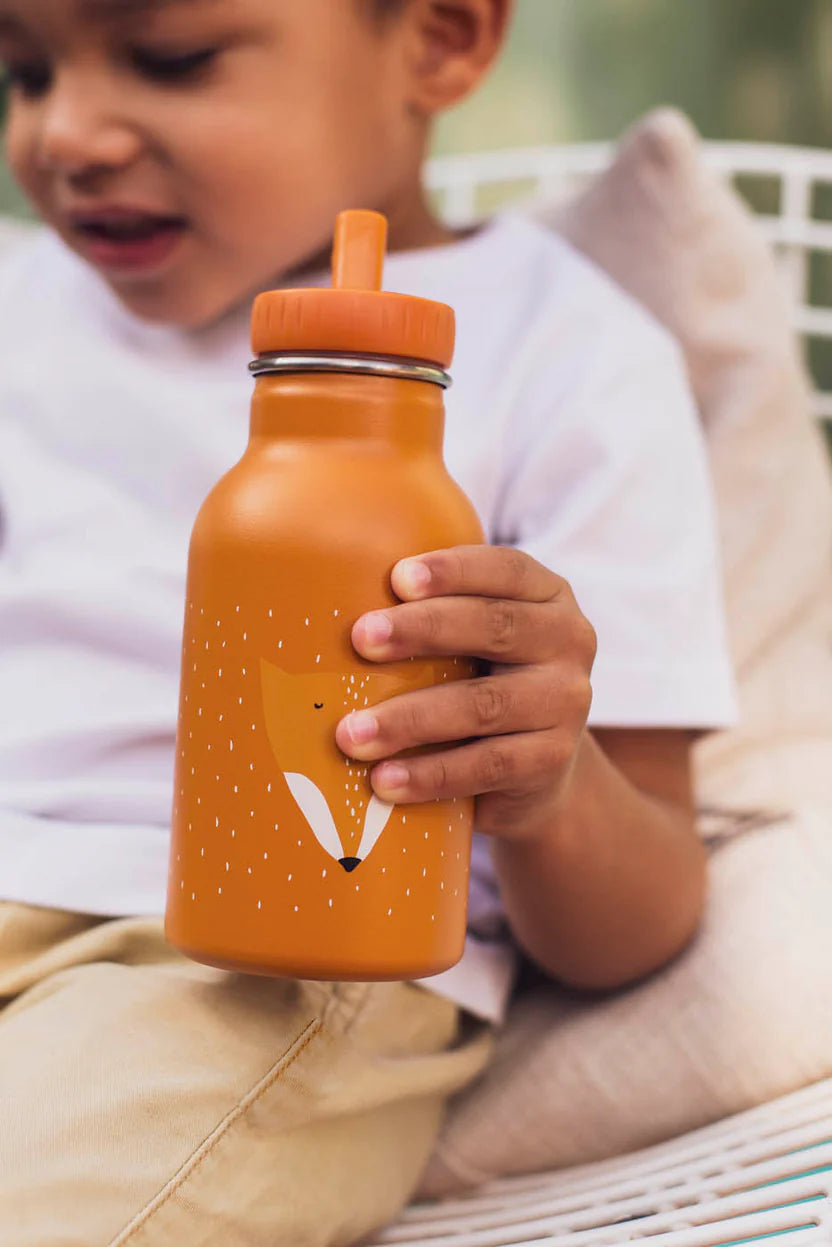 Stainless Steel 350ml Water Bottle- Mr. Fox