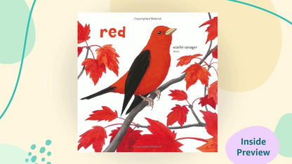 Baby's First Book of Birds & Colours