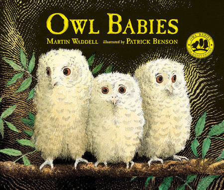 Owl Babies Book