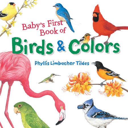 Baby's First Book of Birds & Colours