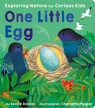 One Little Egg Board Book