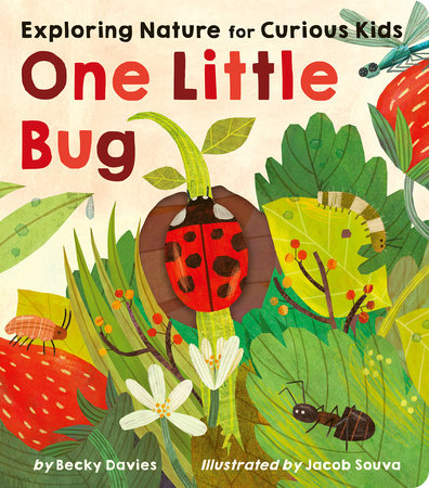 One Little Bug Board Book
