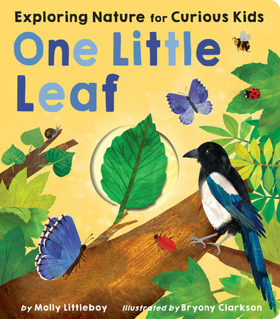 One Little Leaf Board Book