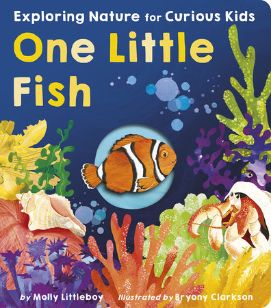 One Little Fish Board Book