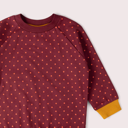 Autumn Polka Dot Organic Raglan Sweatshirt