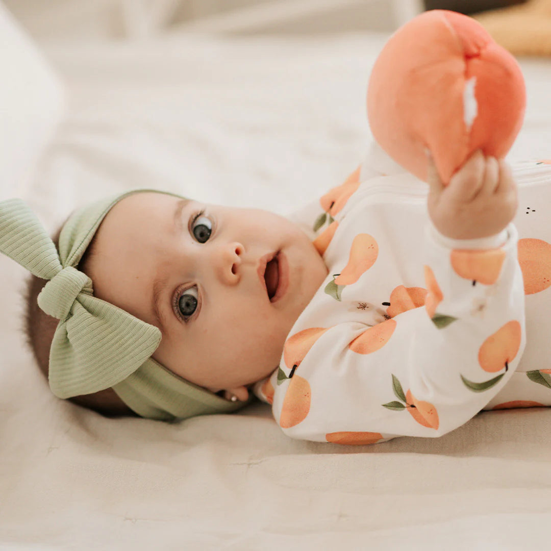 Peaches & Fern Headband 2pk.