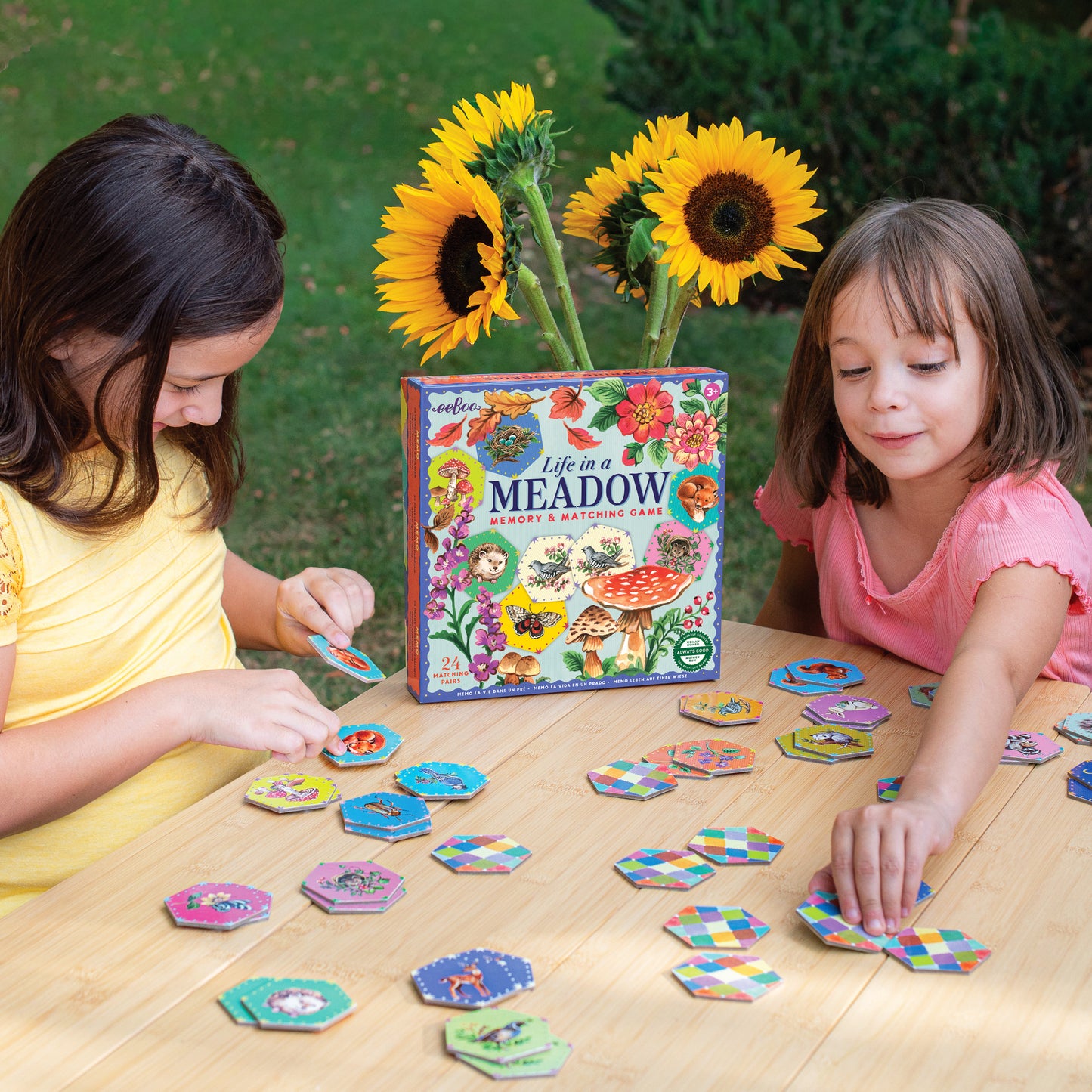 Life in a Meadow Memory and Matching Game