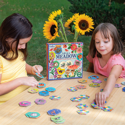 Life in a Meadow Memory and Matching Game