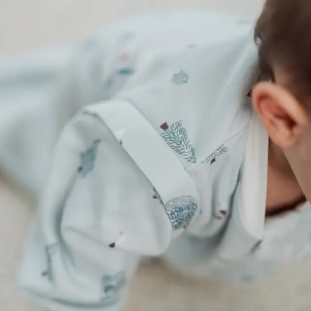 1.0TOG Removable Sleeves Organic Sleep Bag- Snowy Snuggles