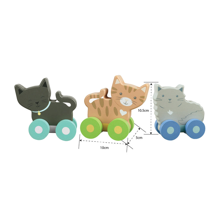 Kitty First Push Toys