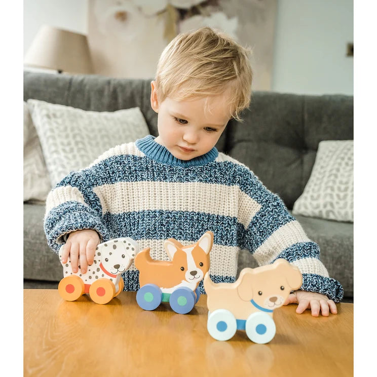 Puppy First Push Toys