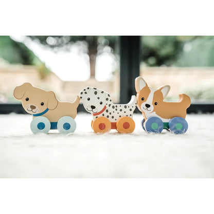 Puppy First Push Toys