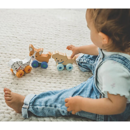 Puppy First Push Toys