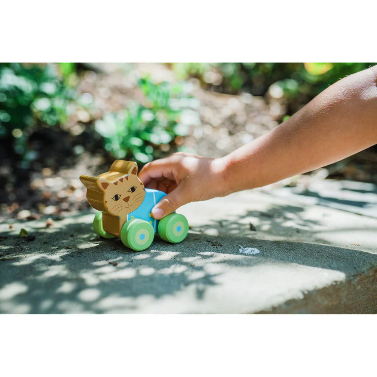Peter Rabbit™ First Push Toys