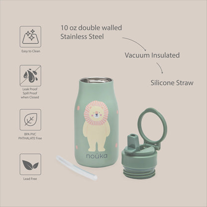 Stainless Steel 10oz. Drinking Bottle- Fleur The Ballerina
