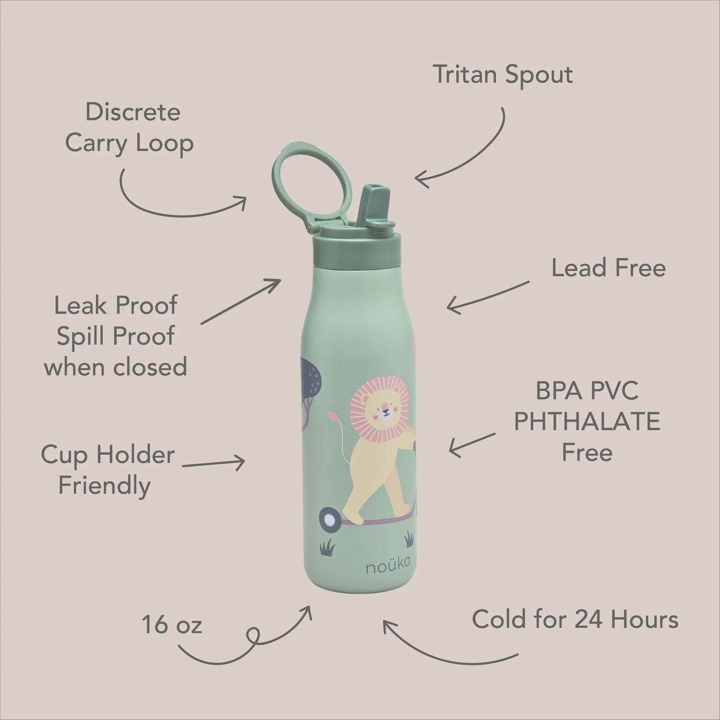 Stainless Steel 16oz. Drinking Bottle- Kiko The Toucan