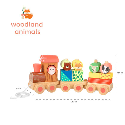 Woodland Animal Wooden Puzzle Train