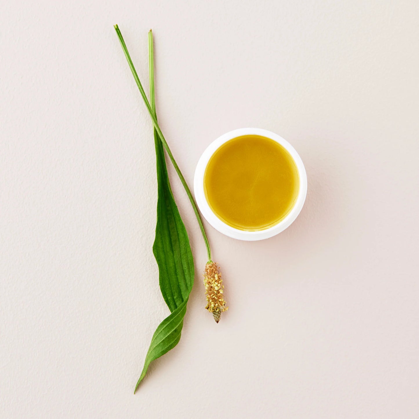 Natural Nipple Creme