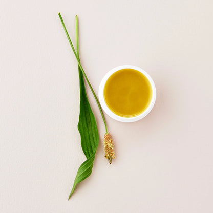 Natural Nipple Creme